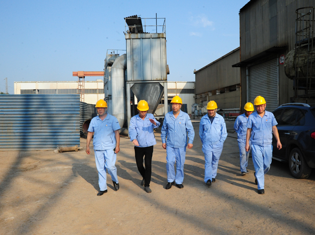 集團公司黨委書記、董事長李躍民現(xiàn)場督導電解鋁、炭素等環(huán)保提升項目