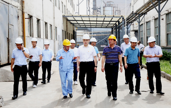 新安縣委副書記、縣長王智一行到萬基控股集團調(diào)研